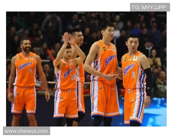 杭州篮球队实力强劲最新篮球个人能力排行榜前十揭晓