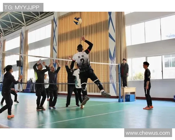 陈秀英独家揭秘排球技巧与心得分享助你提升球技